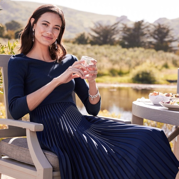 Soft Surroundings Cassandra Dress in Navy Blue - Picture 4 of 5